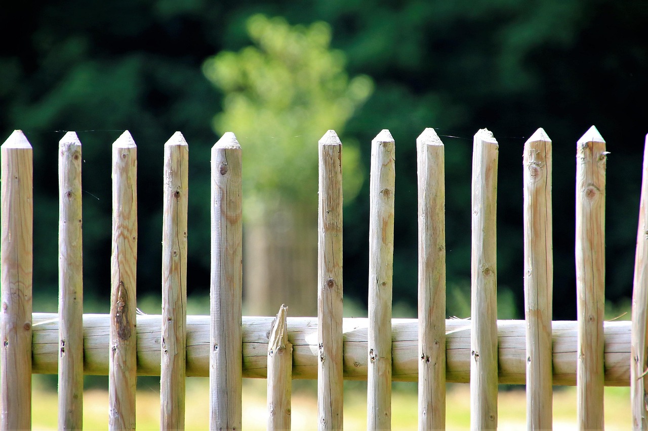 DIY muurtuin met hergebruikte materialen en kruiden.