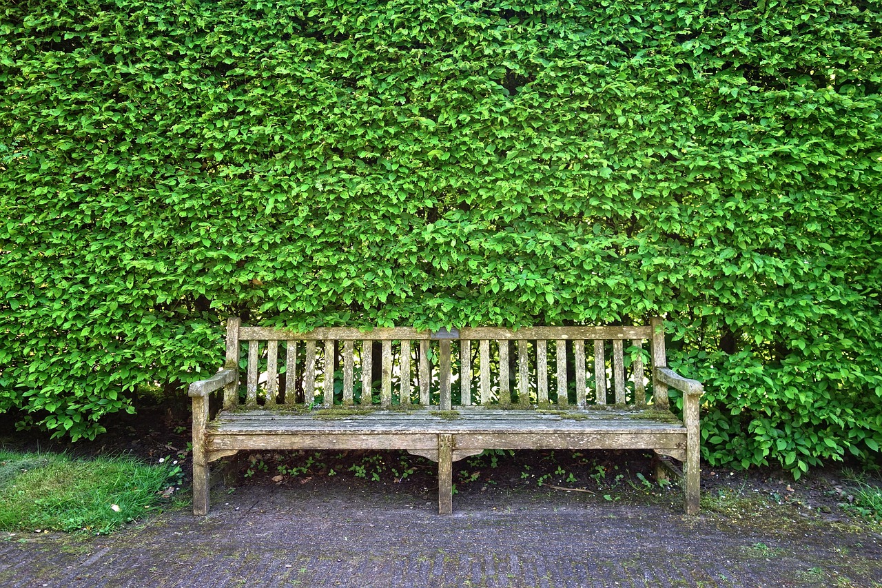 Hoge haag biedt effectieve privacy bescherming.